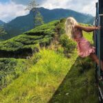 Ella to Ambewela Scenic Train Journey with Reserved Seats Ticket - Why This Train Journey Offers Excellent Value