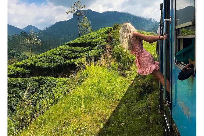 Ella to Ambewela Scenic Train Journey with Reserved Seats Ticket - Why This Train Journey Offers Excellent Value