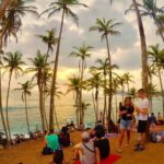 Ella to Mirissa,Weligama,Ahangama (Private Transfer ) - Who Is This Tour Best For?