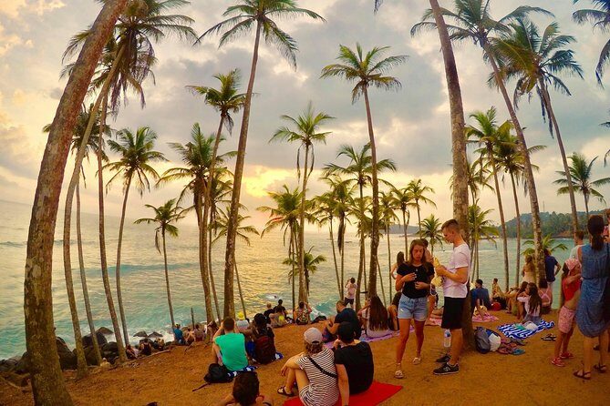 Ella to Mirissa,Weligama,Ahangama (Private Transfer ) - Who Is This Tour Best For?