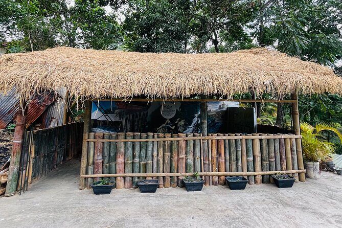 Ella Traditional Sri Lankan Cookery Class - Why We Think It’s Worth It