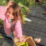 Ellia's Garden: Pick Your Own & Farm Family Fun - Why We Think This Experience Offers Good Value