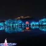 Enduring Memories of Hangzhou Show Ticket with Private Transport - A Complete Breakdown of the Experience