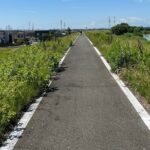 English/Italian guided cycling tour in Tokyo - What to Expect from Your Tokyo Cycling Tour
