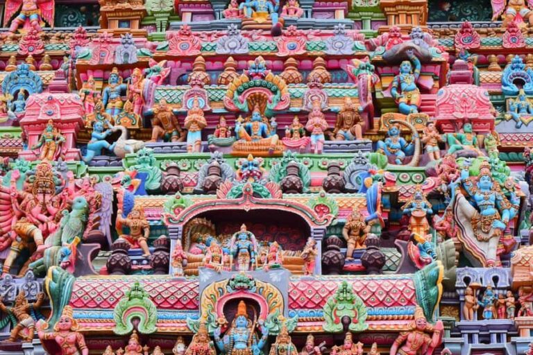 Enjoy a one-day leopard safari in Wilpattu or Yala. - What to Expect on the Safari