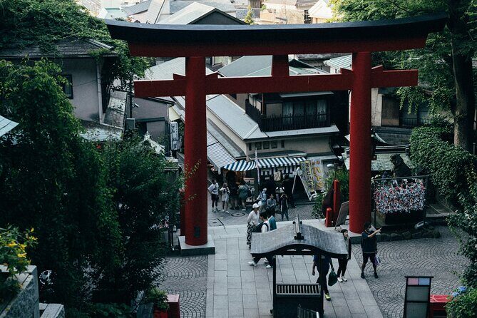 Enoshima Island Full-Day Private Tour from Tokyo (Customizable) - The Itinerary and What to Expect