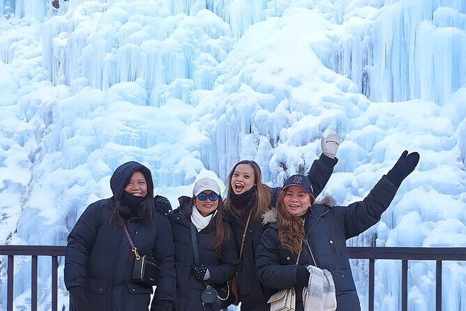 Eobi Ice Valley Nami Island and Alpaca World Tour from Seoul - Why This Tour Offers Great Value