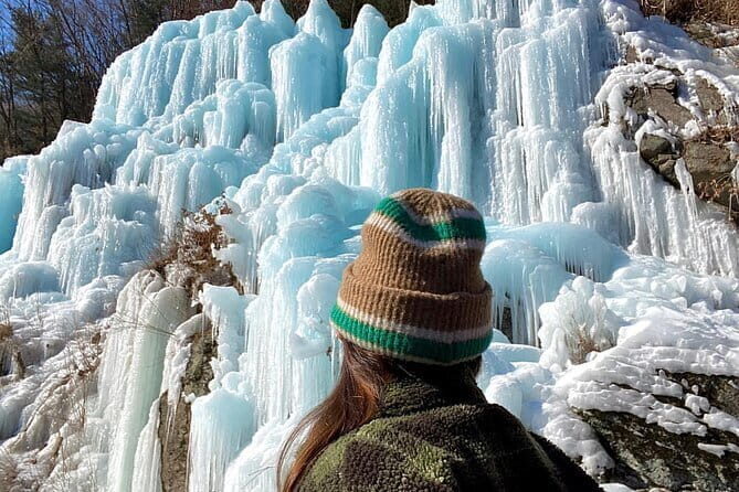 Eobi Ice Valley Nami Island and Gangchon Rail Park Seoul - FAQs