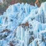 Eobi Ice Valley, Nami Island and Petite France tour in Seoul - Cost and Value