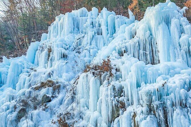 Eobi Ice Valley, Nami Island and Petite France tour in Seoul - Cost and Value