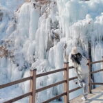 Eobi Ice Valley, Nami Island, Morning Calm and Rail Bike Seoul - In-Depth Look at the Itinerary