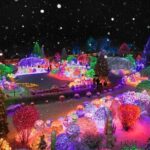 Eobi Ice Valley, Nami Island, Petite France and Morning Calm Tour - Detailed Breakdown of the Tour Experience