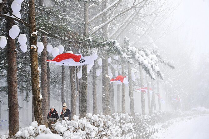 Eobi Ice Valley, Nami Island & Railbike from Seoul (opt. Garden) - Practical Details and What to Expect