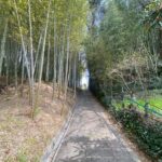 Escape the City Tea, Calligraphy and Tea Fields in Rural Kyoto - Who Would Love This Tour?