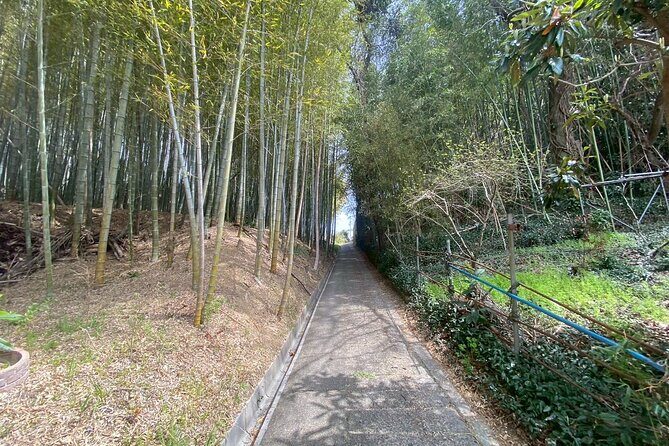 Escape the City Tea, Calligraphy and Tea Fields in Rural Kyoto - Who Would Love This Tour?