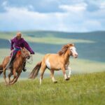 Essence of Mongolia 4 Days - Frequently Asked Questions