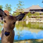 Essential Nara: Origins of Spiritual Japan - Exploring Nara’s Heart: An Authentic Cultural Journey