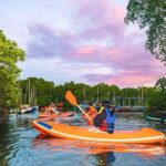 Evening Bali Mangrove Canoe Tour - Why This Tour Offers Great Value