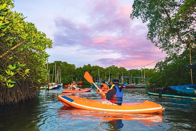 Evening Bali Mangrove Canoe Tour - Why This Tour Offers Great Value