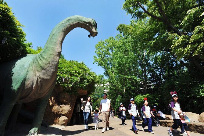 Everland Theme Park Entry Ticket