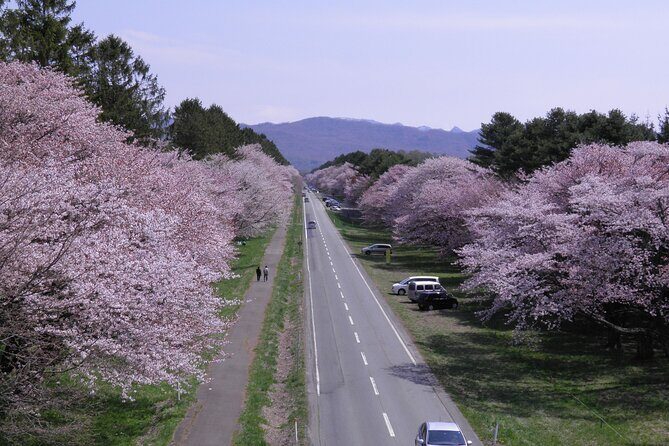Exclusive 2-Day Tour to Hokkaidos Two Cultural Heritage Areas - The Overview and What Makes It Special