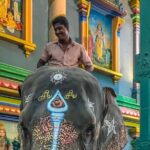 Exclusive Day Tour from Chennai to Discover Pondicherry - What Makes This Tour Stand Out?