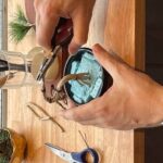 Exclusive Kanazawa Craft Bonsai Experience with Black Tile Pot - Detailed Breakdown of the Itinerary