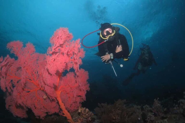 Exclusive private dive guide and underwater photography - The Itinerary: What to Expect from Start to Finish