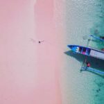 Exclusive Snorkeling Tour to Lombok's Pink Beach and 3 Gilis - Transportation, Logistics, and Value