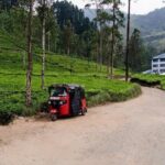 Exclusive: Tea Gardens and Waterfalls of Nuwara Eliya by Tuk-Tuk - Who Is This Tour Best For?
