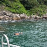 Experience Cham Islands Snorkeling Trip by Speedboat - Who Is This Tour Best For?