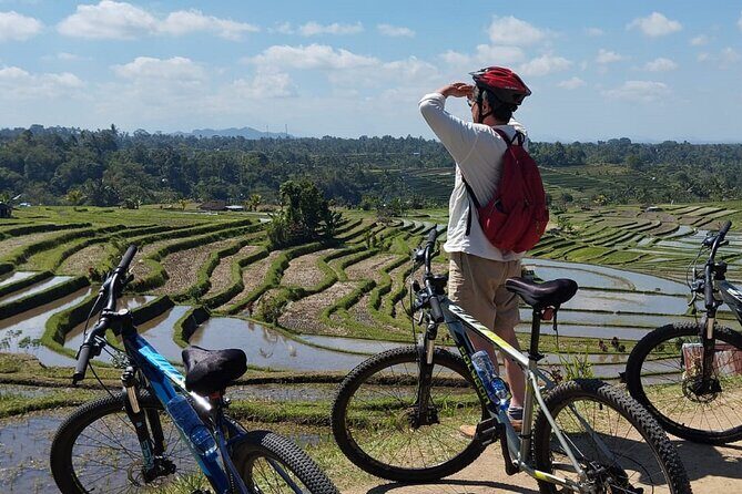 Experience Cycling Tour to Bali UNESCO Heritage Site in Jatiluwih - Understanding the Value