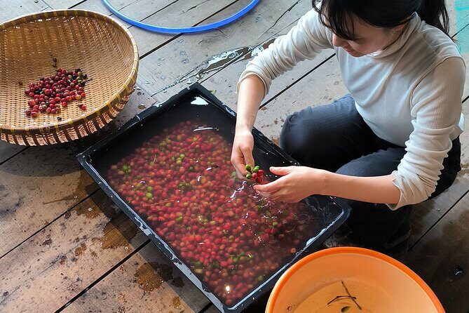 Experience Specialty Coffee with Sustainable Coffee Farmers - Who Would Love This Tour?