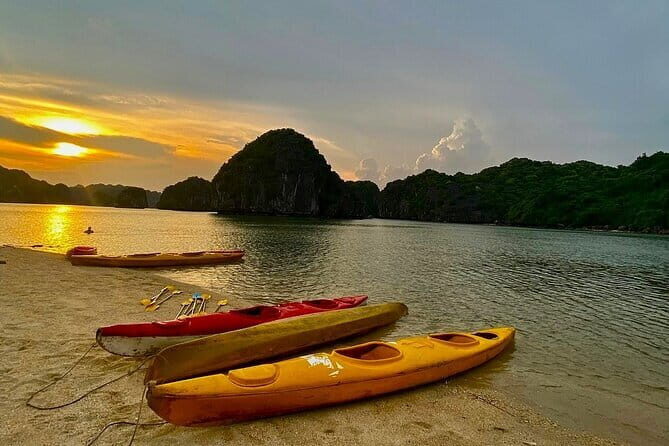 Experience the Sunset and Plankton Bioluminescent Night Kayak - Detailed Breakdown of the Itinerary