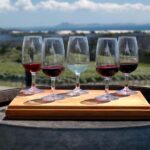 Experience Yarra Valley: A Tailored private Wine Journey - Who Will Love This Tour?