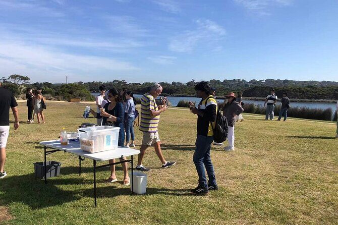 Explore 12 Apostles and Great Ocean Road - Who Is This Tour Best For?