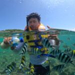 Explore and snorkeling Gili Nanggu Secret Island - What Makes This Tour Stand Out?