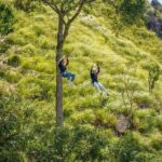 Explore Beyond the Ordinary - Local Flavors and Unique Experiences