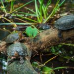 Explore Cuc Phuong National Park: A Guided Trekking Adventure - Transportation and Group Dynamics