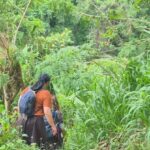 Explore Ellas Iconic Waterfalls on Scenic Tuk Tuk Adventure - What to Expect: A Day in the Life