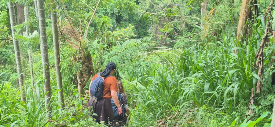 Explore Ellas Iconic Waterfalls on Scenic Tuk Tuk Adventure - What to Expect: A Day in the Life