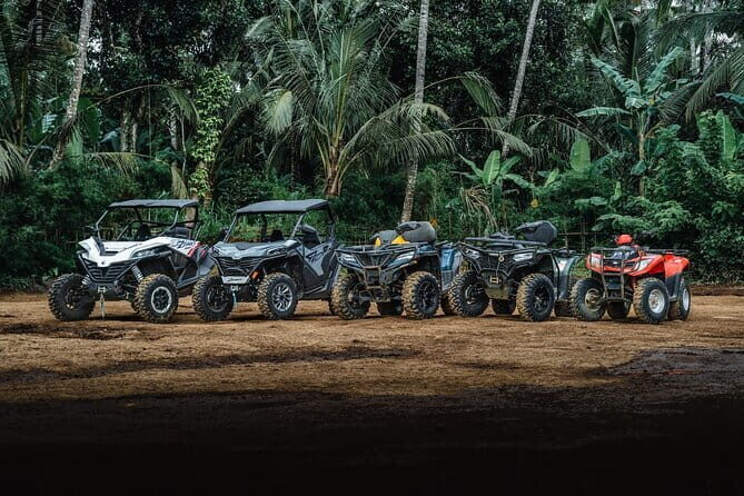 Explore Gorilla Cave by ATV in Ubud - Monkey Forest and Waterfall - How the Experience Feels in Practice