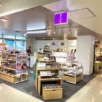 Explore History & Nature: Kamiyacho to Tokyo Tower - Practical Details and Considerations