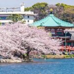 Explore Japan in 7 Days Cherry Blossom Tour 2026 - Accommodation and Meals