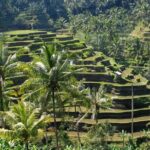 Explore Lovely Denpasar: Self-Guided Audio Tour - The Sum Up