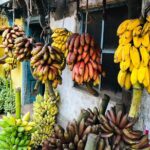 Explore Madurai's Rich Culture: Private Car & Guided Tour - Is This Tour Worth It?