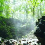 Explore Mount Fuji: Private Tour with English Guide - Why This Tour Stands Out