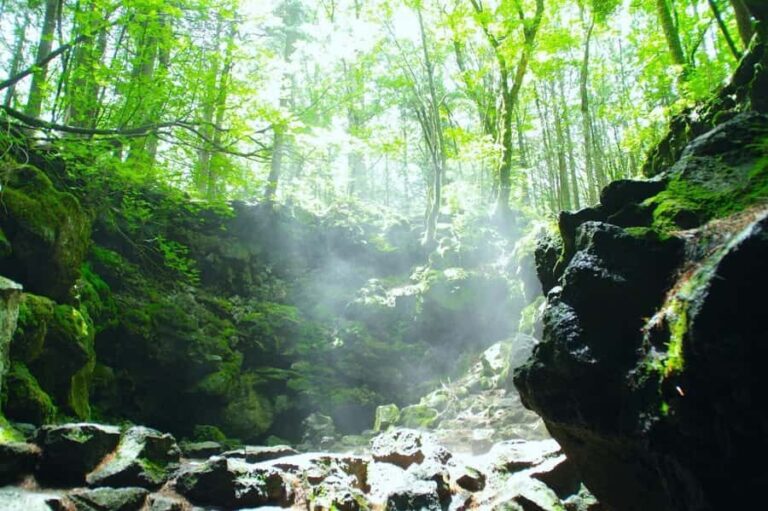 Explore Mount Fuji: Private Tour with English Guide - Why This Tour Stands Out