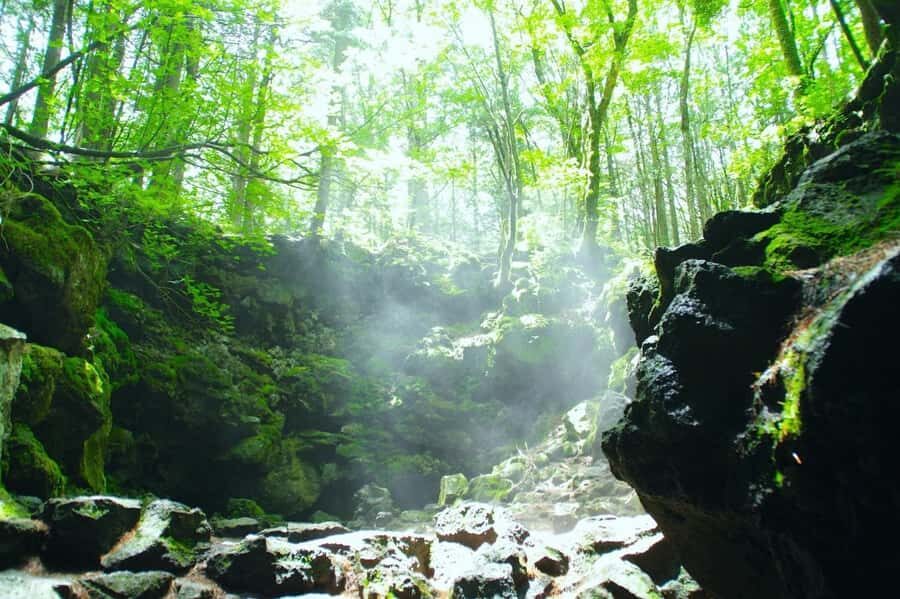 Explore Mount Fuji: Private Tour with English Guide - Why This Tour Stands Out