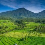 Explore Munduk Customized 8 Hour Day Tour in North Bali - Examining the Itinerary in Detail